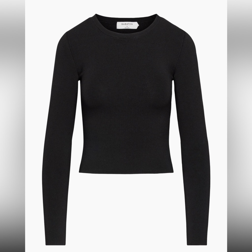 Aritzia Babaton Sculpt Knit Crew Long Sleeve